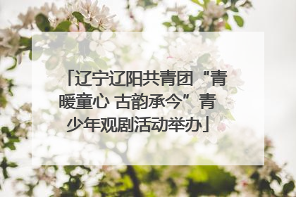辽宁辽阳共青团“青暖童心 古韵承今”青少年观剧活动举办