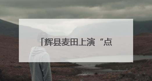 辉县麦田上演“点草成金” 秸秆发电点亮万家灯火