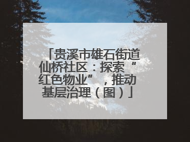 贵溪市雄石街道仙桥社区：探索“红色物业”，推动基层治理（图）