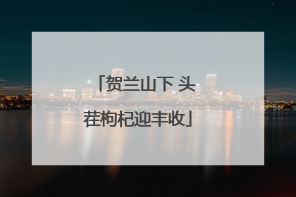 贺兰山下 头茬枸杞迎丰收