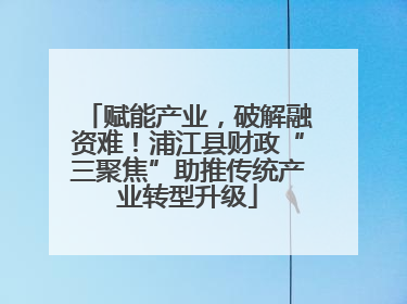 赋能产业，破解融资难！浦江县财政“三聚焦”助推传统产业转型升级