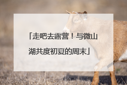 走吧去露营！与微山湖共度初夏的周末