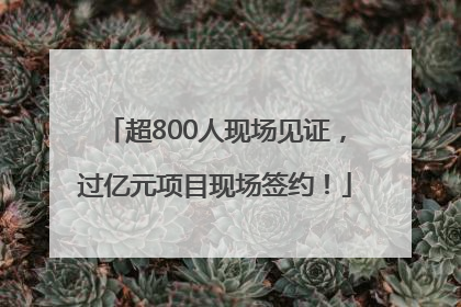 超800人现场见证，过亿元项目现场签约！