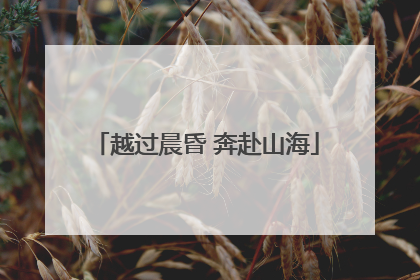 越过晨昏 奔赴山海