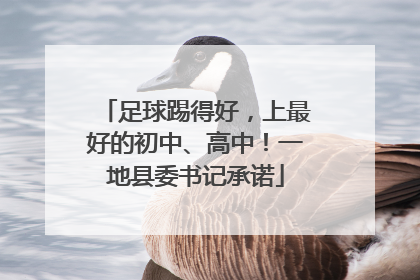 足球踢得好，上最好的初中、高中！一地县委书记承诺