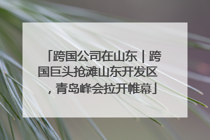 跨国公司在山东｜跨国巨头抢滩山东开发区，青岛峰会拉开帷幕