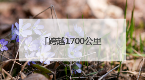 跨越1700公里也要来“喝茶”，这场“茶话会”让杭州与广元架起一条“共富之路”