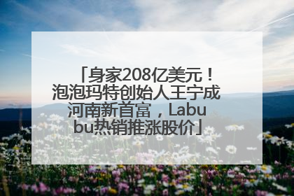 身家208亿美元！泡泡玛特创始人王宁成河南新首富，Labubu热销推涨股价