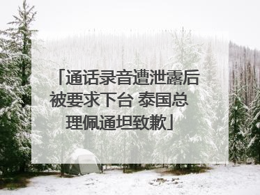 通话录音遭泄露后被要求下台 泰国总理佩通坦致歉