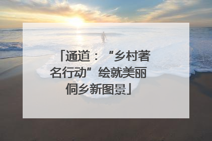 通道：“乡村著名行动”绘就美丽侗乡新图景
