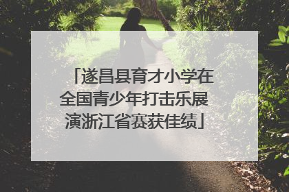 遂昌县育才小学在全国青少年打击乐展演浙江省赛获佳绩