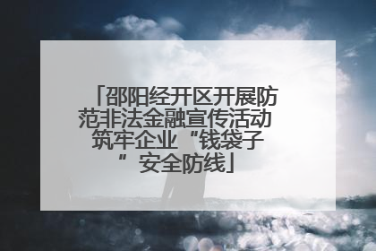 邵阳经开区开展防范非法金融宣传活动 筑牢企业“钱袋子”安全防线