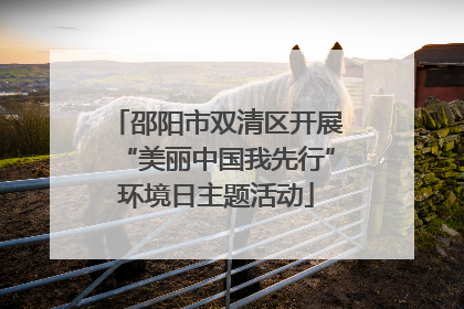 邵阳市双清区开展“美丽中国我先行”环境日主题活动