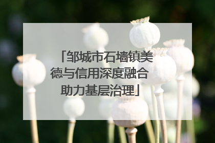 邹城市石墙镇美德与信用深度融合助力基层治理