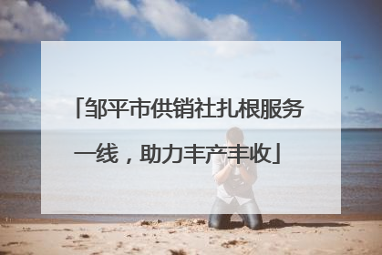 邹平市供销社扎根服务一线，助力丰产丰收