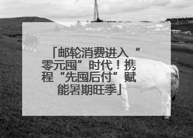 邮轮消费进入“零元囤”时代！携程“先囤后付”赋能暑期旺季