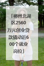 郴州北湖区2560万元创业贷款撬动近600个就业岗位