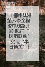 郴州陆港第六条全程提单线路开通 践行“区港联动” 实现“半日通关”