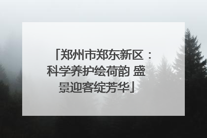 郑州市郑东新区：科学养护绘荷韵 盛景迎客绽芳华