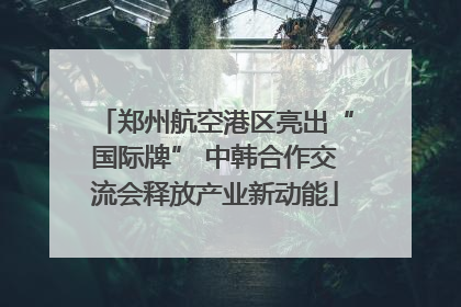 郑州航空港区亮出“国际牌” 中韩合作交流会释放产业新动能