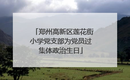 郑州高新区莲花街小学党支部为党员过集体政治生日