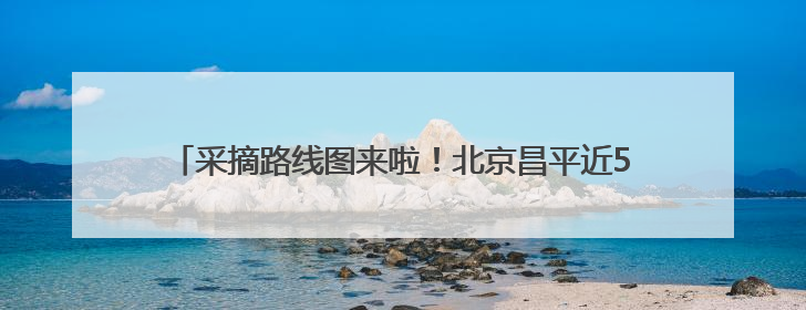 采摘路线图来啦！北京昌平近5000亩樱桃迎来采摘黄金期