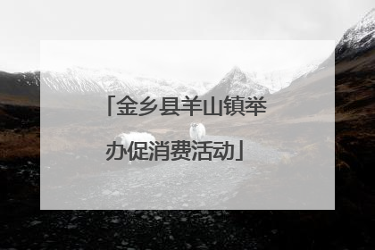 金乡县羊山镇举办促消费活动