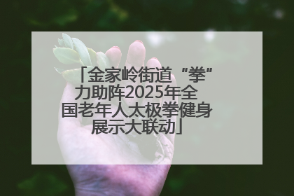 金家岭街道“拳”力助阵2025年全国老年人太极拳健身展示大联动