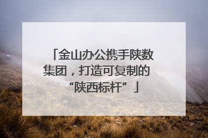金山办公携手陕数集团，打造可复制的“陕西标杆”