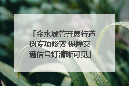 金水城管开展行道树专项修剪 保障交通信号灯清晰可见