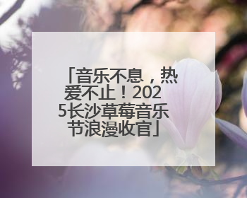 音乐不息，热爱不止！2025长沙草莓音乐节浪漫收官