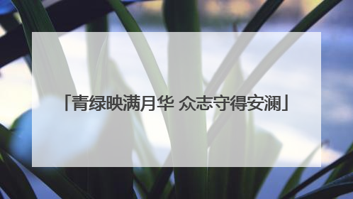 青绿映满月华 众志守得安澜