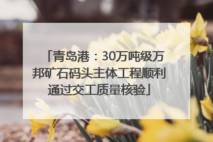 青岛港：30万吨级万邦矿石码头主体工程顺利通过交工质量核验