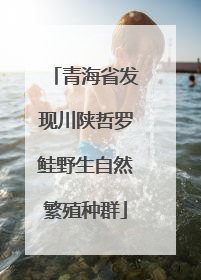 青海省发现川陕哲罗鲑野生自然繁殖种群