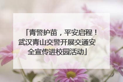 青警护苗，平安启程！武汉青山交警开展交通安全宣传进校园活动
