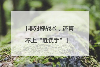 非对称战术，还算不上“胜负手”
