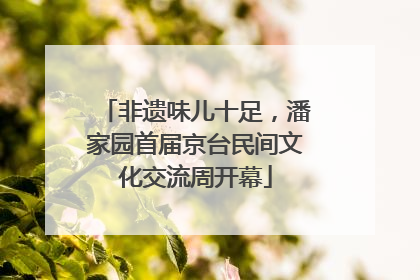 非遗味儿十足，潘家园首届京台民间文化交流周开幕