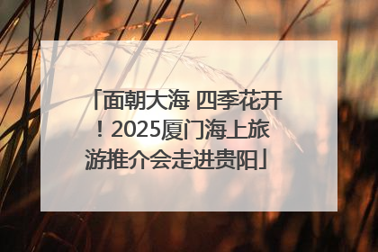 面朝大海 四季花开！2025厦门海上旅游推介会走进贵阳