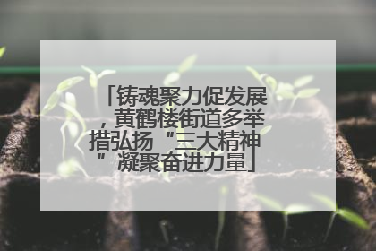 铸魂聚力促发展，黄鹤楼街道多举措弘扬“三大精神”凝聚奋进力量