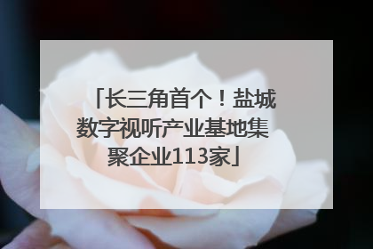 长三角首个！盐城数字视听产业基地集聚企业113家
