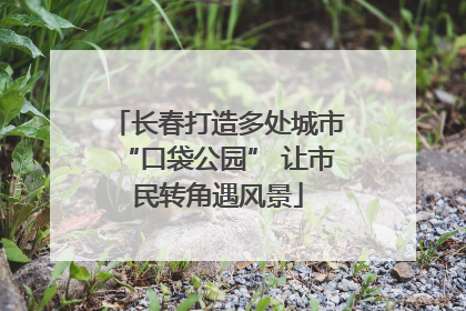 长春打造多处城市“口袋公园” 让市民转角遇风景