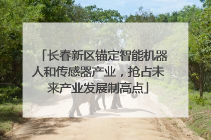 长春新区锚定智能机器人和传感器产业，抢占未来产业发展制高点