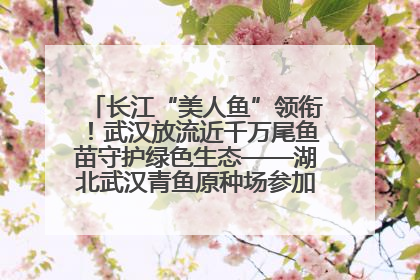 长江“美人鱼”领衔！武汉放流近千万尾鱼苗守护绿色生态——湖北武汉青鱼原种场参加2025年“全国放鱼日”增殖放流活动