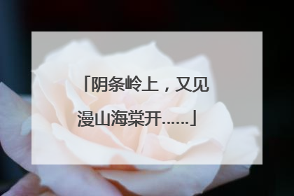 阴条岭上，又见漫山海棠开……