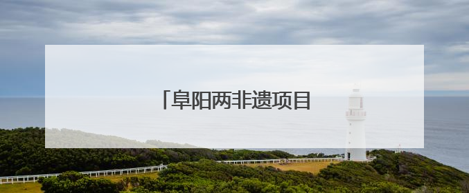 阜阳两非遗项目亮相国际文化节