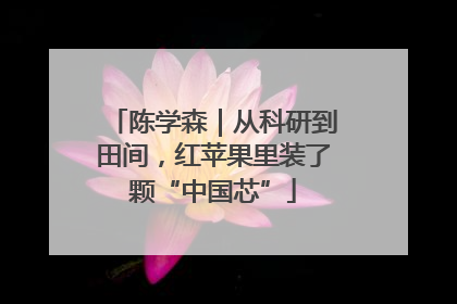 陈学森｜从科研到田间，红苹果里装了颗“中国芯”