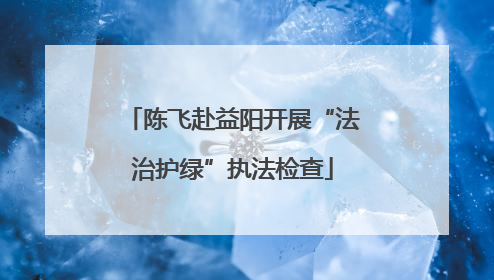 陈飞赴益阳开展“法治护绿”执法检查