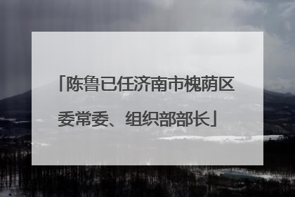 陈鲁已任济南市槐荫区委常委、组织部部长