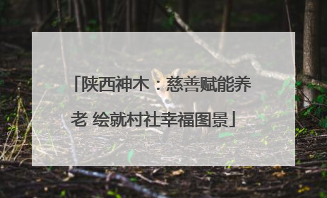 陕西神木：慈善赋能养老 绘就村社幸福图景
