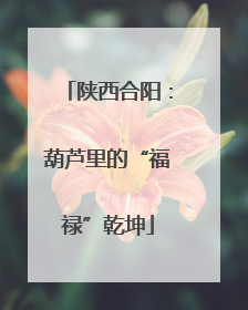 陕西合阳：葫芦里的“福禄”乾坤